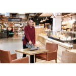 ΜΗΧΑΝΗ ΑΝΑΡΡΟΦΗΣΗΣ ΤΖΑΜΙΩΝ ΚΑΙ ΕΠΙΦΑΝΕΙΩΝ WVP 10 ADV