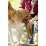 ΚΩΝΙΚΟ ΑΚΡΟΦΥΣΙΟ ΔΕΣΜΗΣ