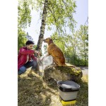 ΚΩΝΙΚΟ ΑΚΡΟΦΥΣΙΟ ΔΕΣΜΗΣ