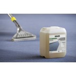CARPETPRO CLEANER, ΓΡΗΓΟΡΟ ΣΤΕΓΝΩΜΑ RM 767 OA 10L